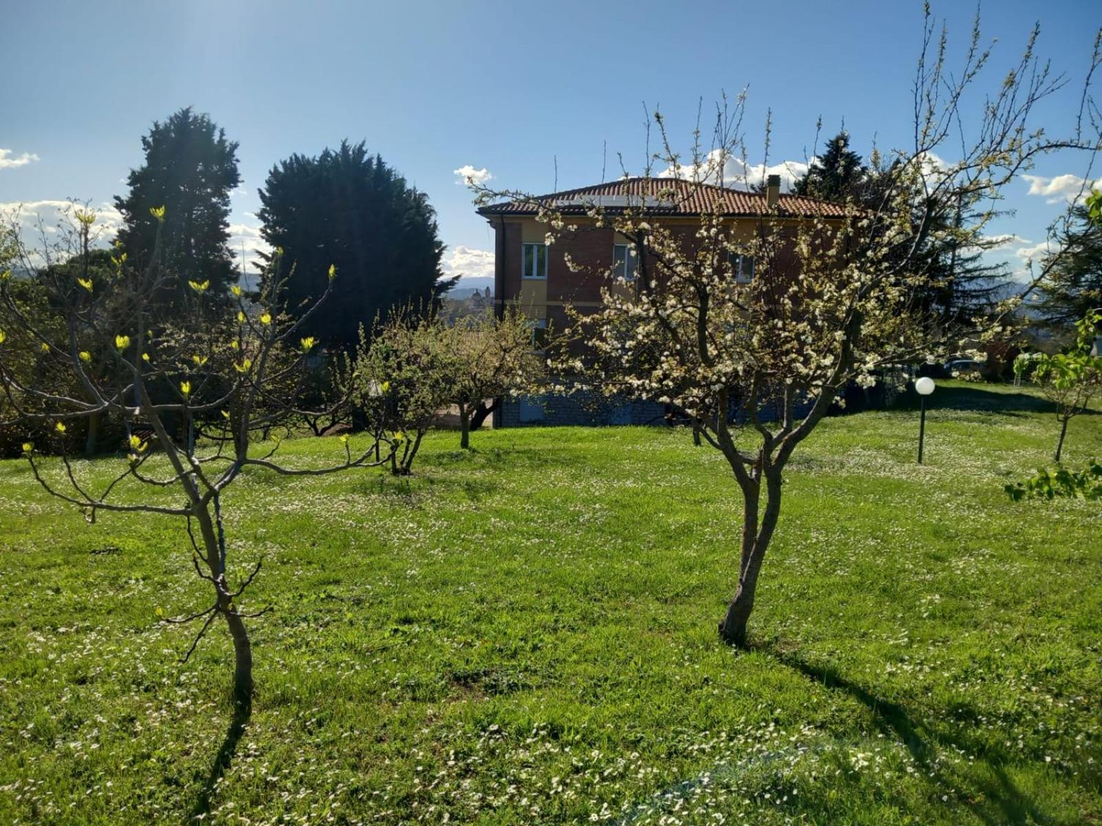 La Casa Di Enzo E Lucia Daire Urbino Dış mekan fotoğraf